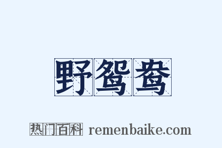 野鸳鸯是什么意思的图片